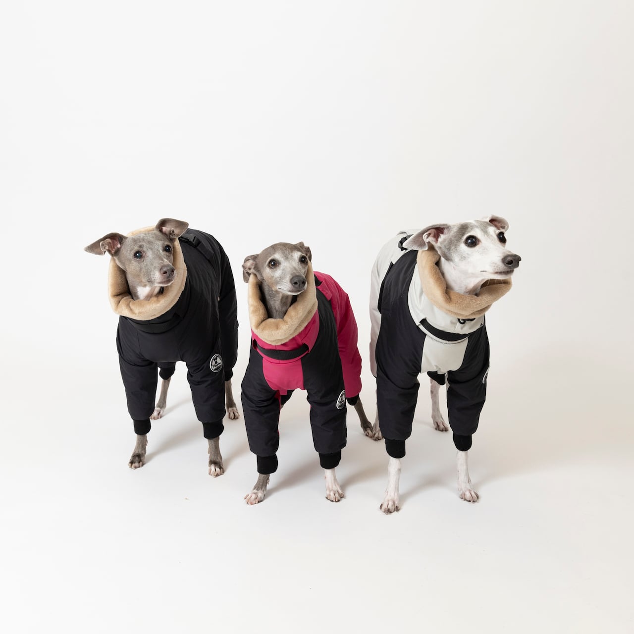 ボンバーヒートジャケット2024 black / イタグレ服 | イタグレ服