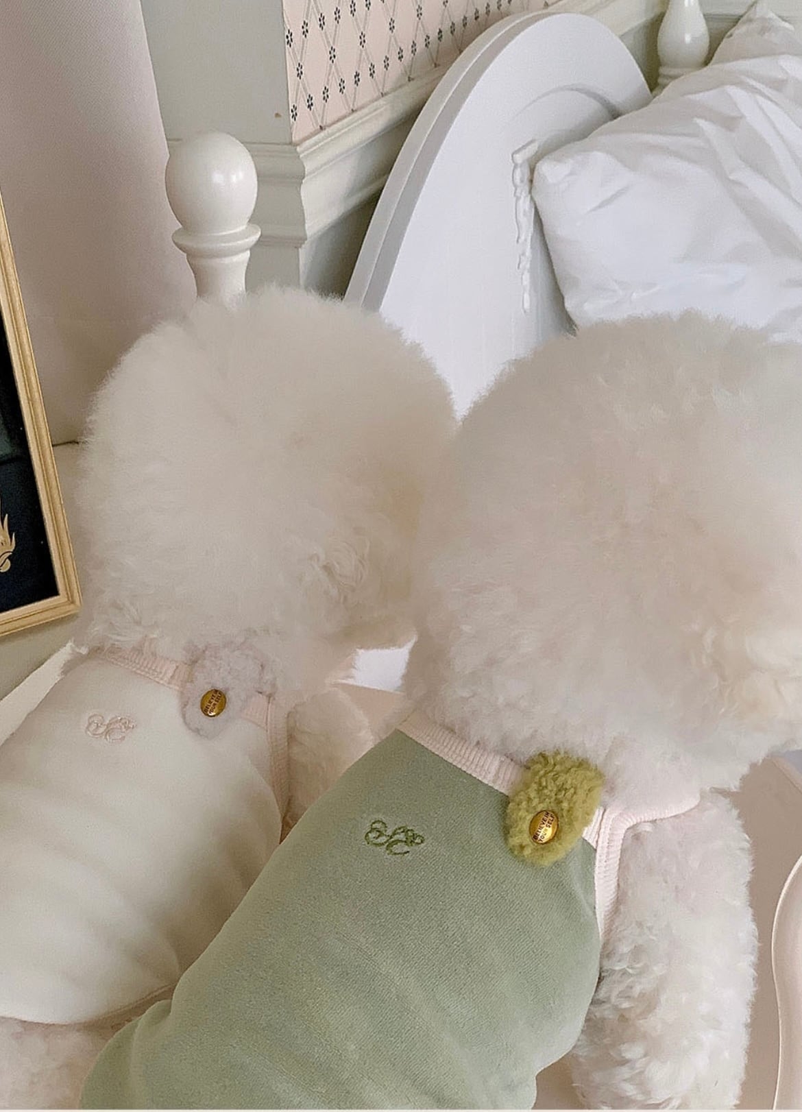 【seenii】senne top (White)