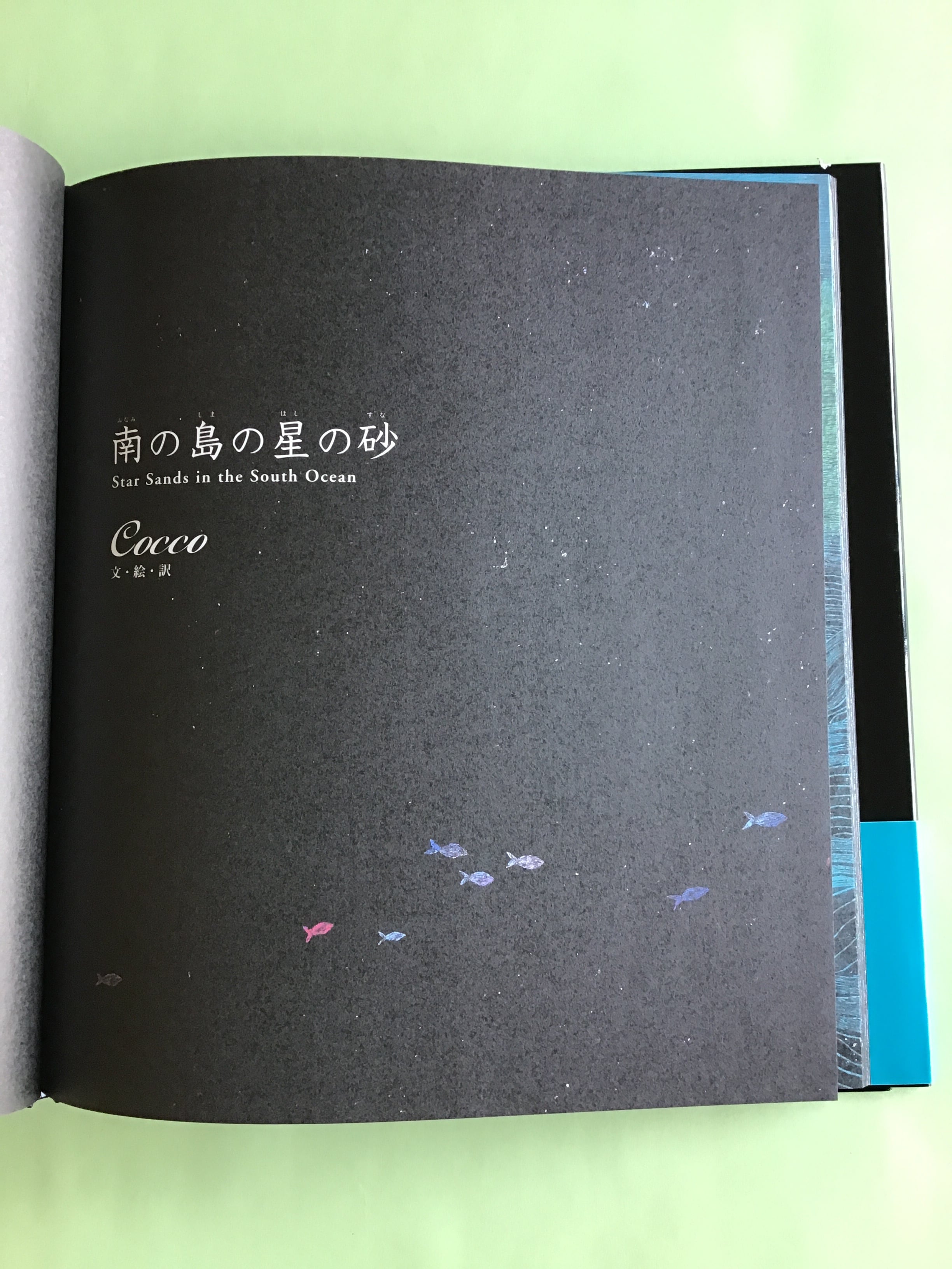 南の島の星の砂 Star Sands in the South Ocean 文 絵 訳 Cocco 河出