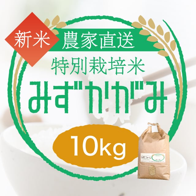 農家自慢のお米 10kg 玄米 14418f687359b16c411c0461c95f29