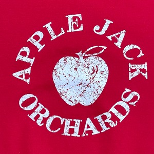 【PORT&COMPANY】 果樹園 リンゴ 林檎 プリント STAFF バックロゴ スウェット トレーナー プルオーバー Apple Jack Orchards レッド M US古着