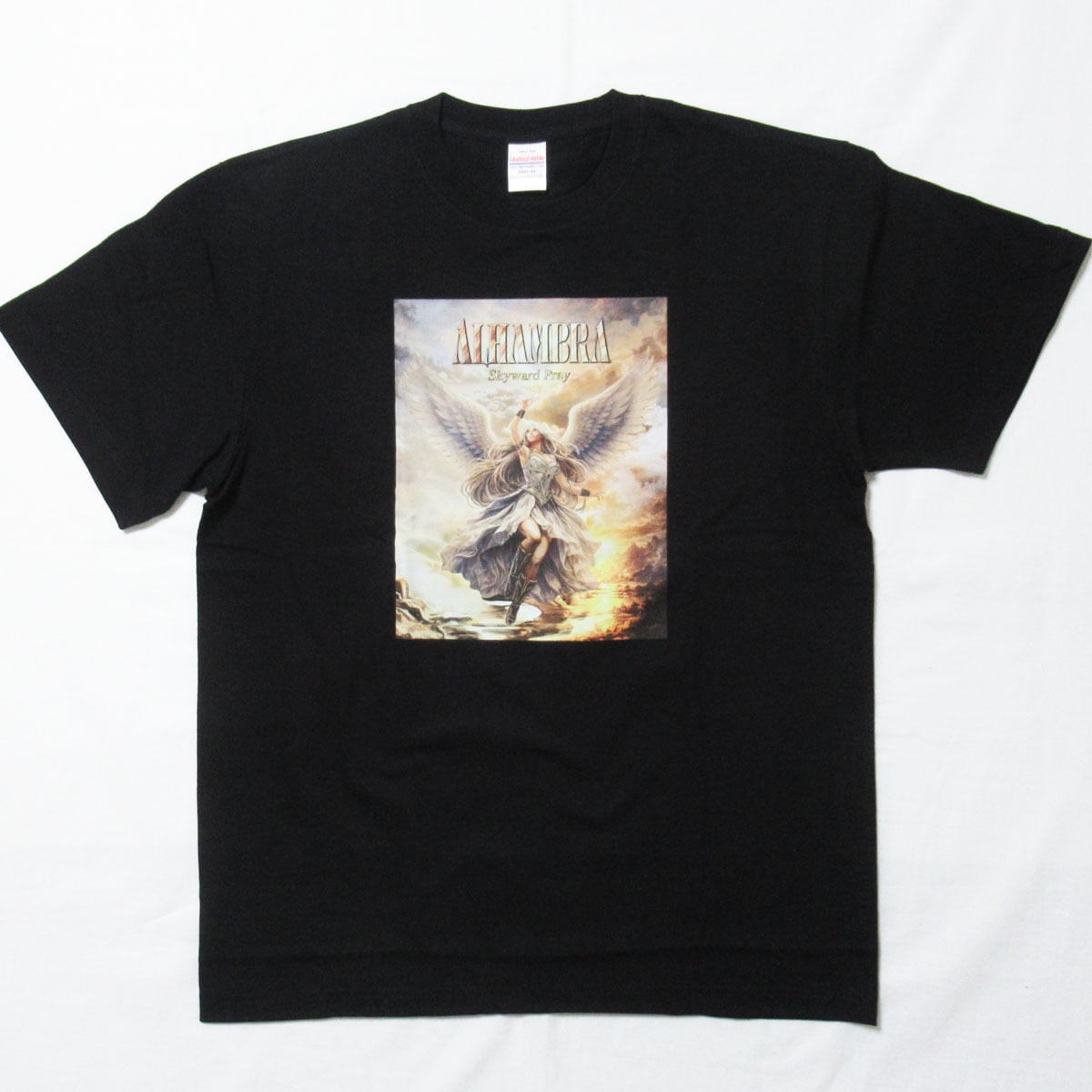 レッド・ツェッペリン LED ZEPPELIN Tシャツ 1977 TOUR【NEW】 | ROCK