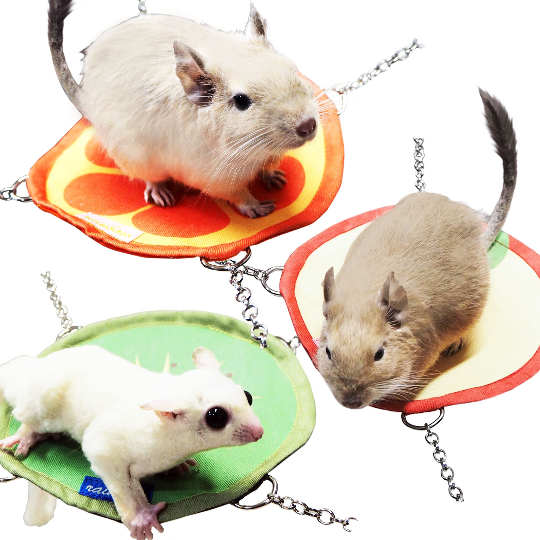 【小動物】まんまるフルーツハンモック りんご / オレンジ / キウイ