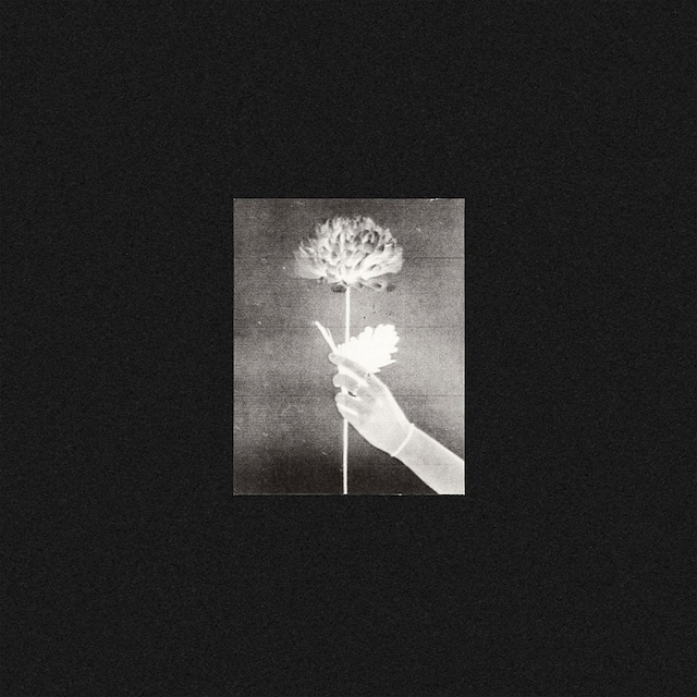 【CD】WHITE FLOWERS - DAY BY DAY(TOUGH LOVE)