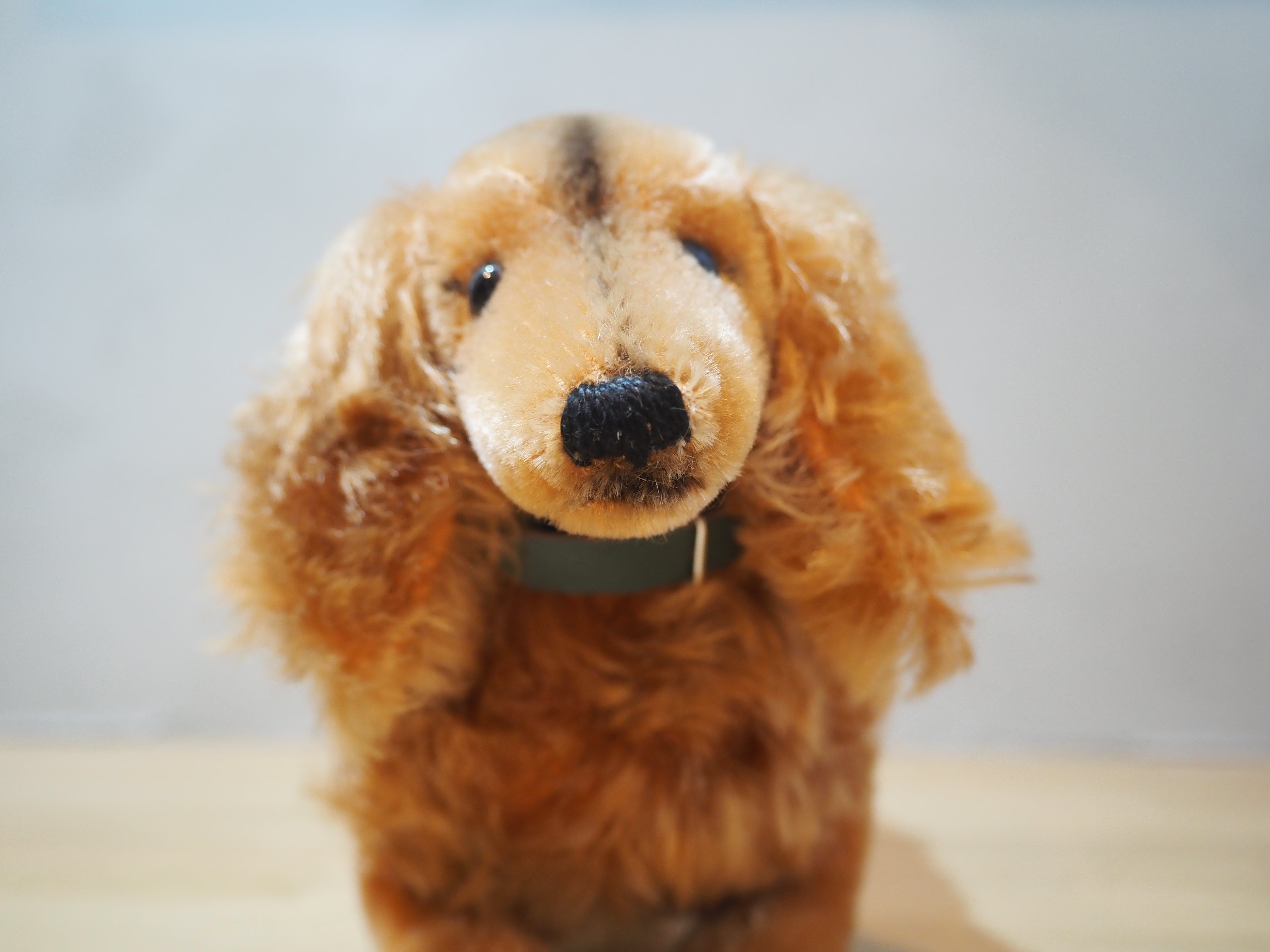 オールド シュタイフ ダックスフンド Steiff Waldi 17cm | ヒガシマチ