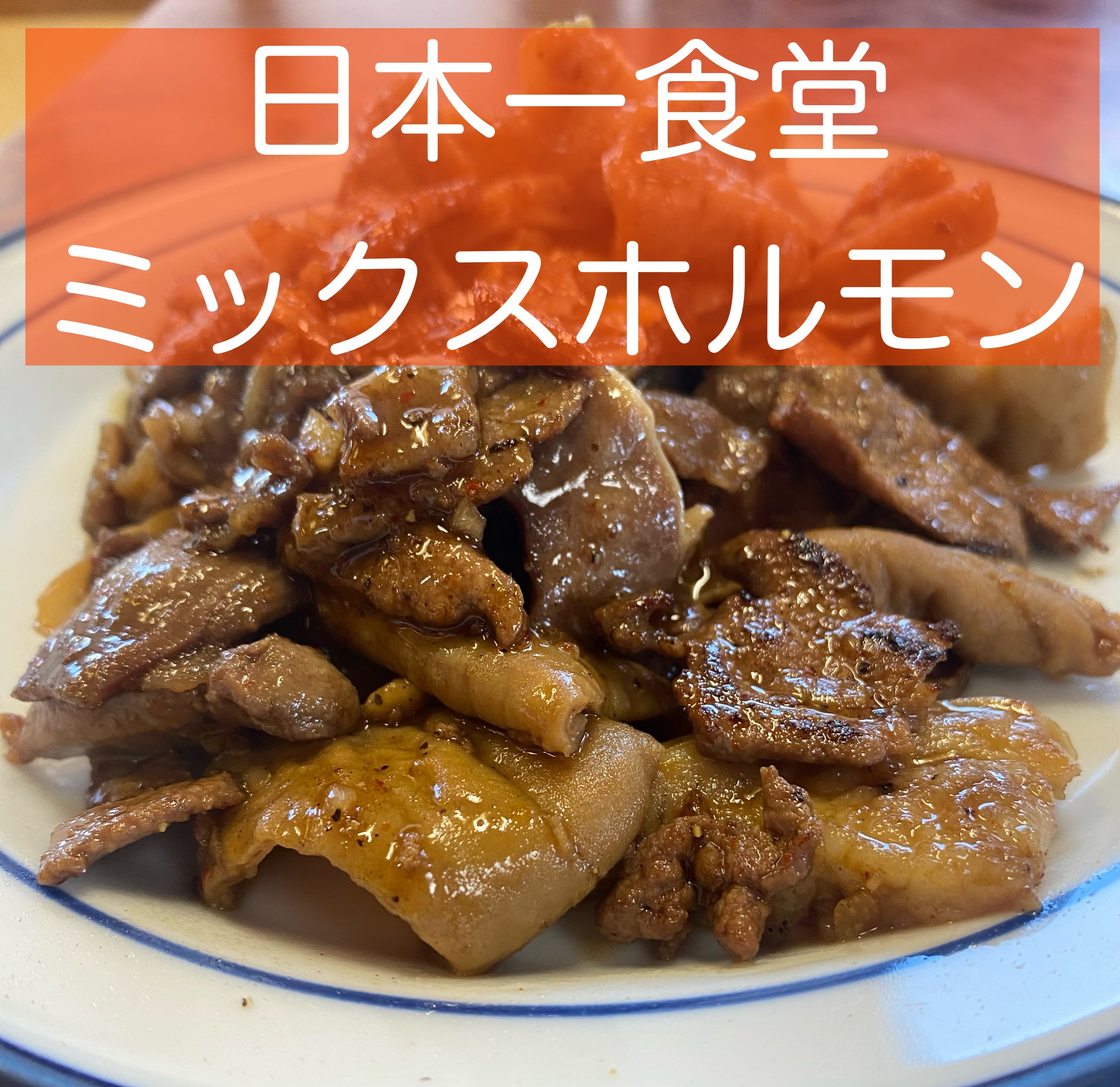 （冷凍）国産豚モツ6種類！！日本一食堂　ミックスホルモン(220g)