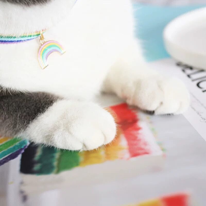 レインボーチョーカー 首輪 猫 虹 | nyanpets 猫グッズ専門店