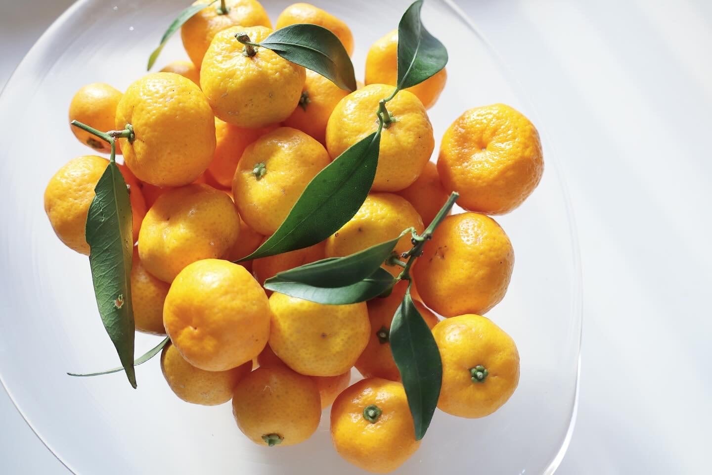 大和橘果実1kg（農薬不使用） | なら橘プロジェクト推進協議会