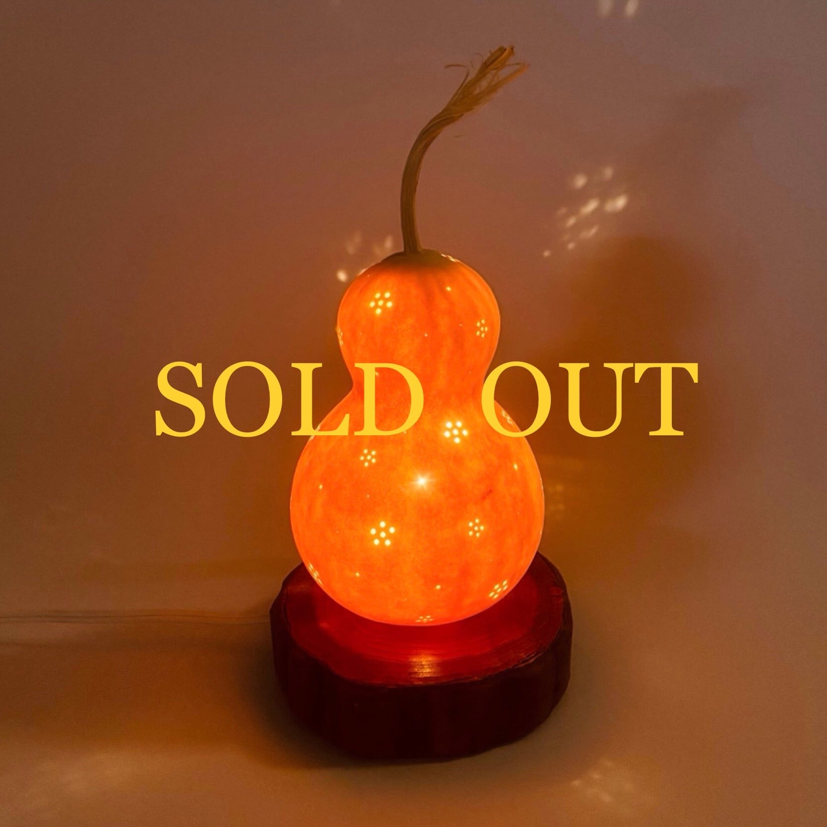 こつぼごけランプ03