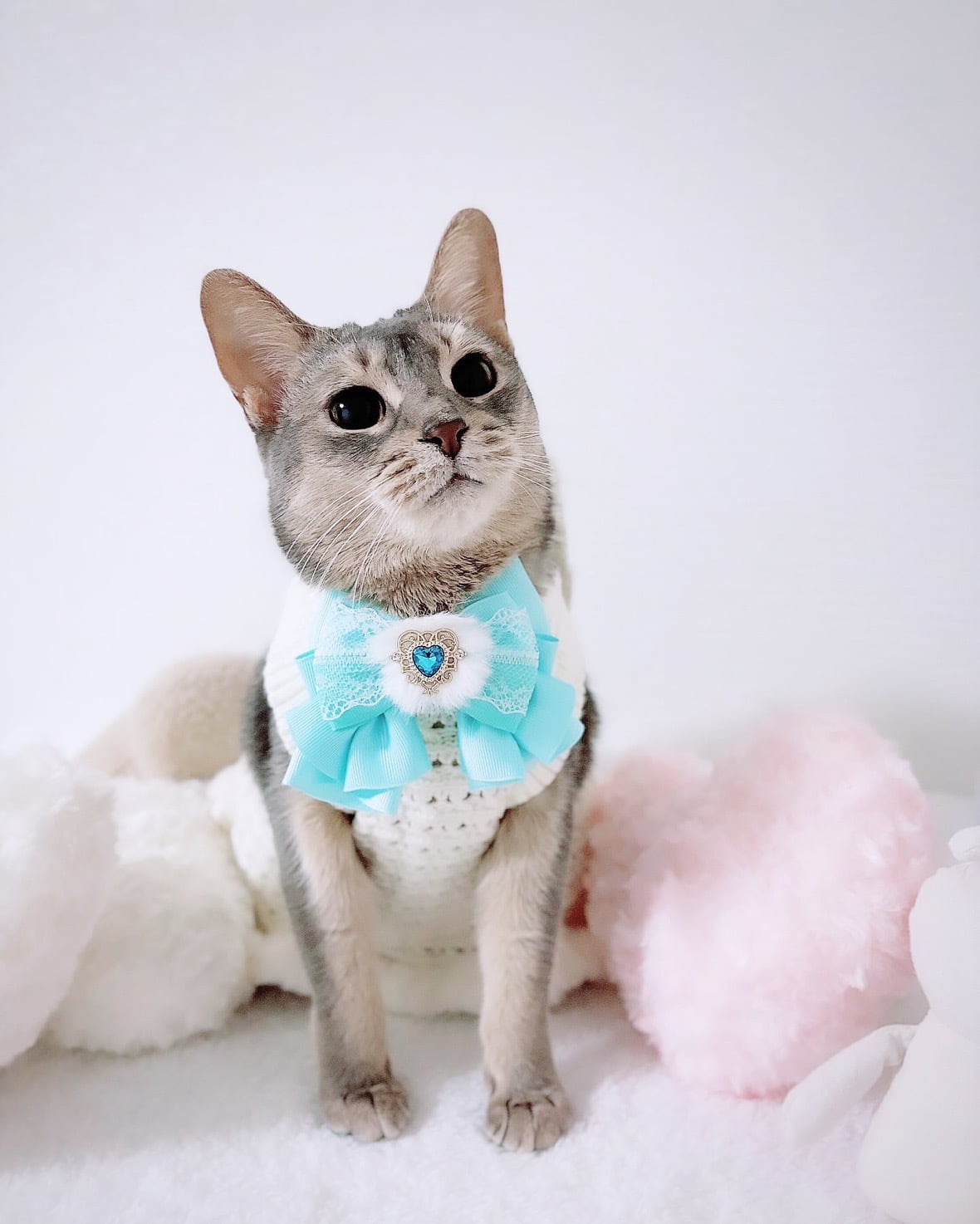 シングルリボン、バレンタインハート柄(パープル)わんちゃん猫ちゃん用首輪 ハートチョーカー】レギュラーサイズ 犬猫チョーカー リボン 犬用 猫用
