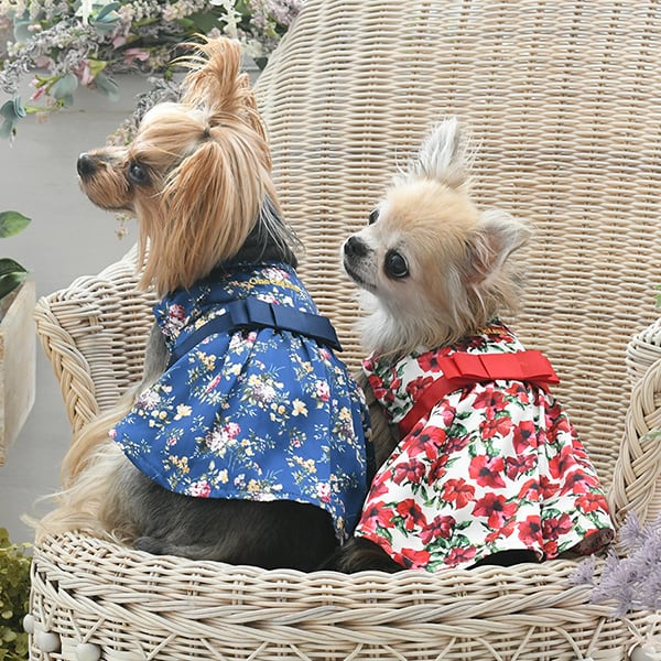 花柄ワンピ One Octave（ワンオクターブ）犬服 XS/S/M/L/2L/DM トイ