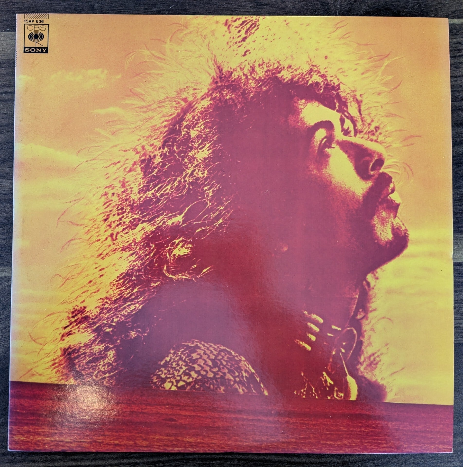 鈴木ヒロミツ「何処かで失くしたやさしさを」：7inchレコード | 音とこだま