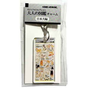 カミオジャパン　大人の図鑑チャーム