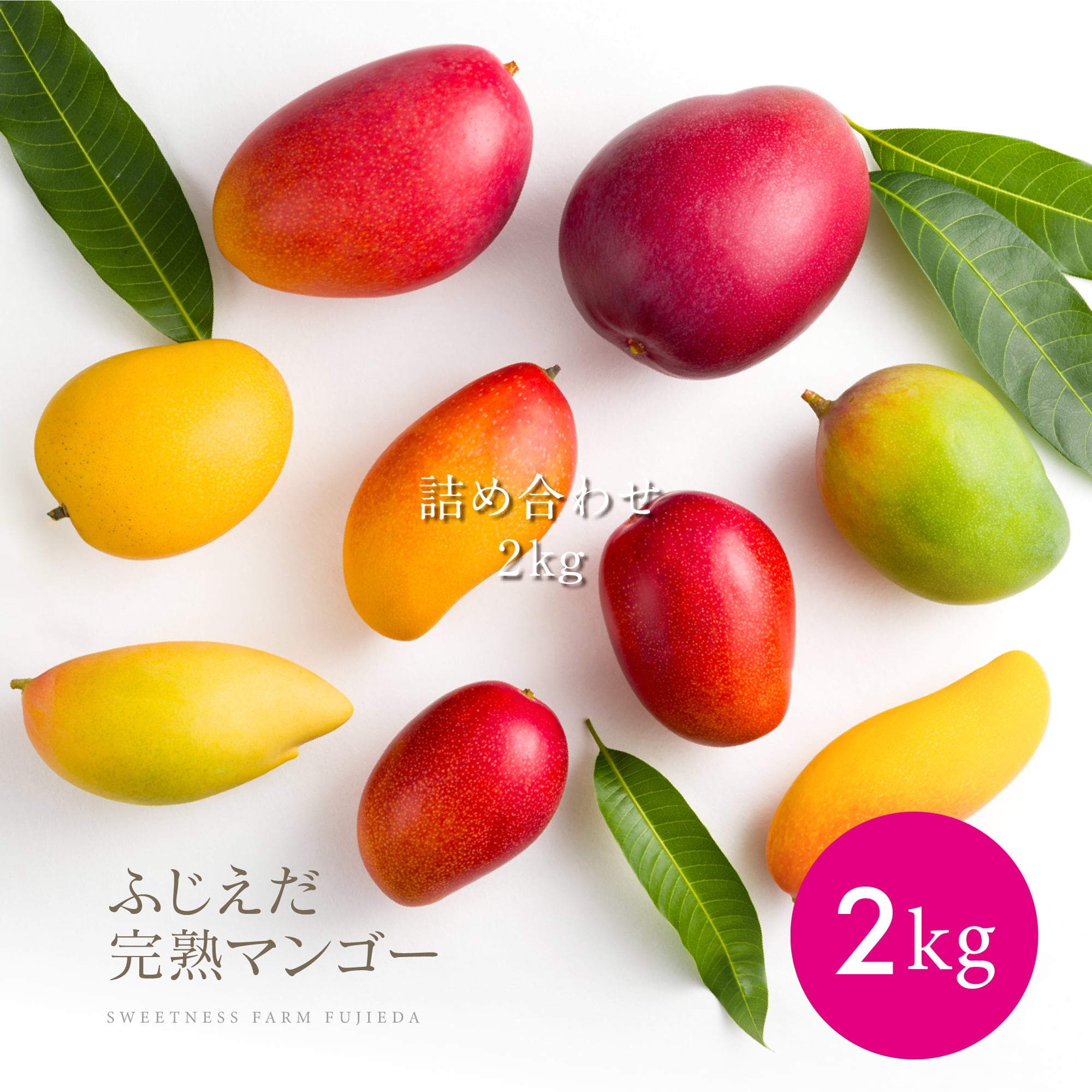 ふじえだ完熟マンゴー【通販】｜公式オンラインストア