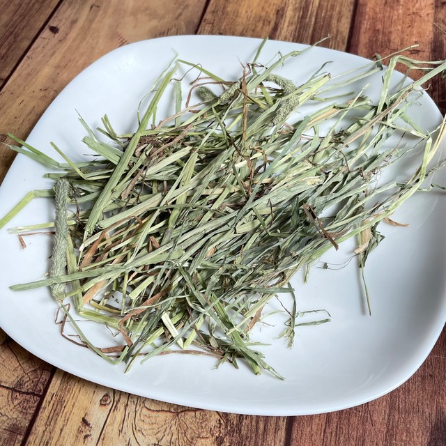 2025年刈取り　プレミアムグレード　カナダ産（ドライランドエリア）チモシー　500g