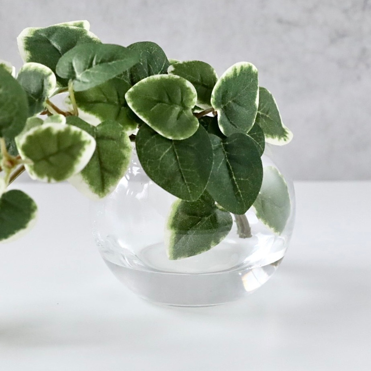 プミラ 斑入り フェイクグリーン 観葉植物 造花 卓上グリーン ミニ観葉植物 インテリアグリーン H約15cm