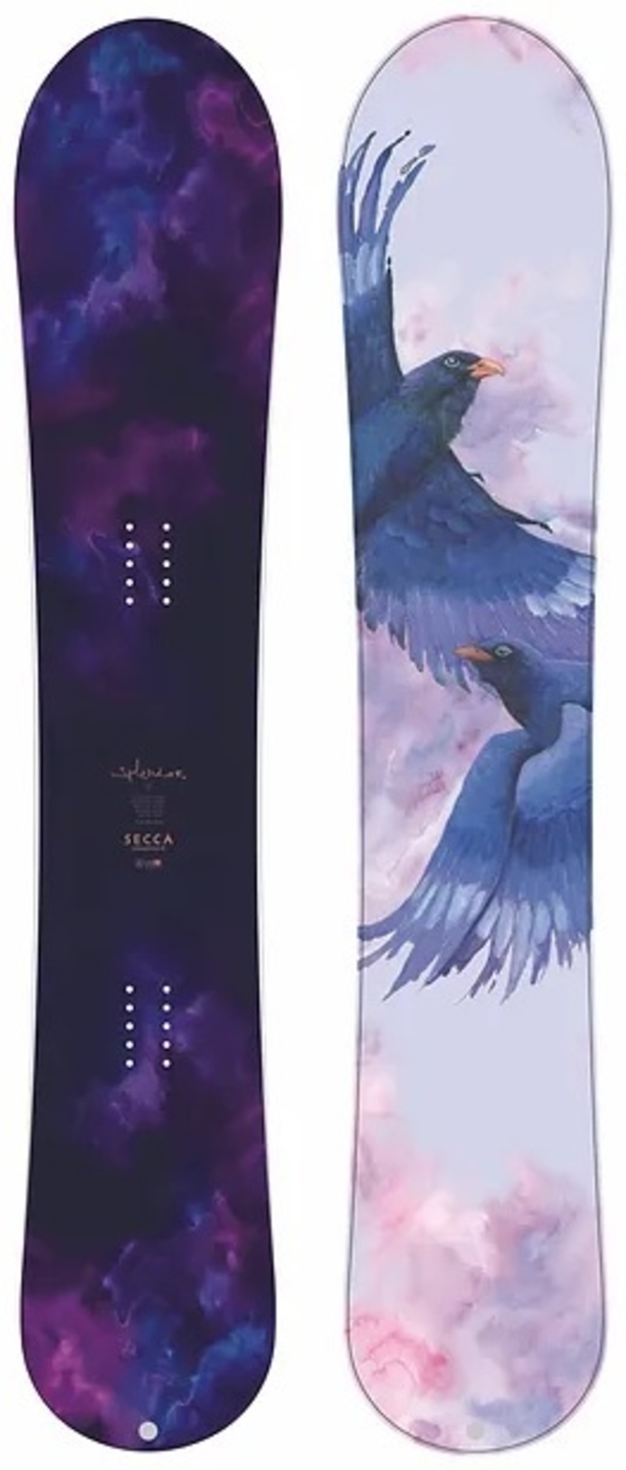 24-25 SECCA SPLENDOR 149cm(Stock:Tokyo) | THE SUNS ONLINE STORE