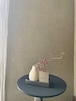 1 枝ギフトセット