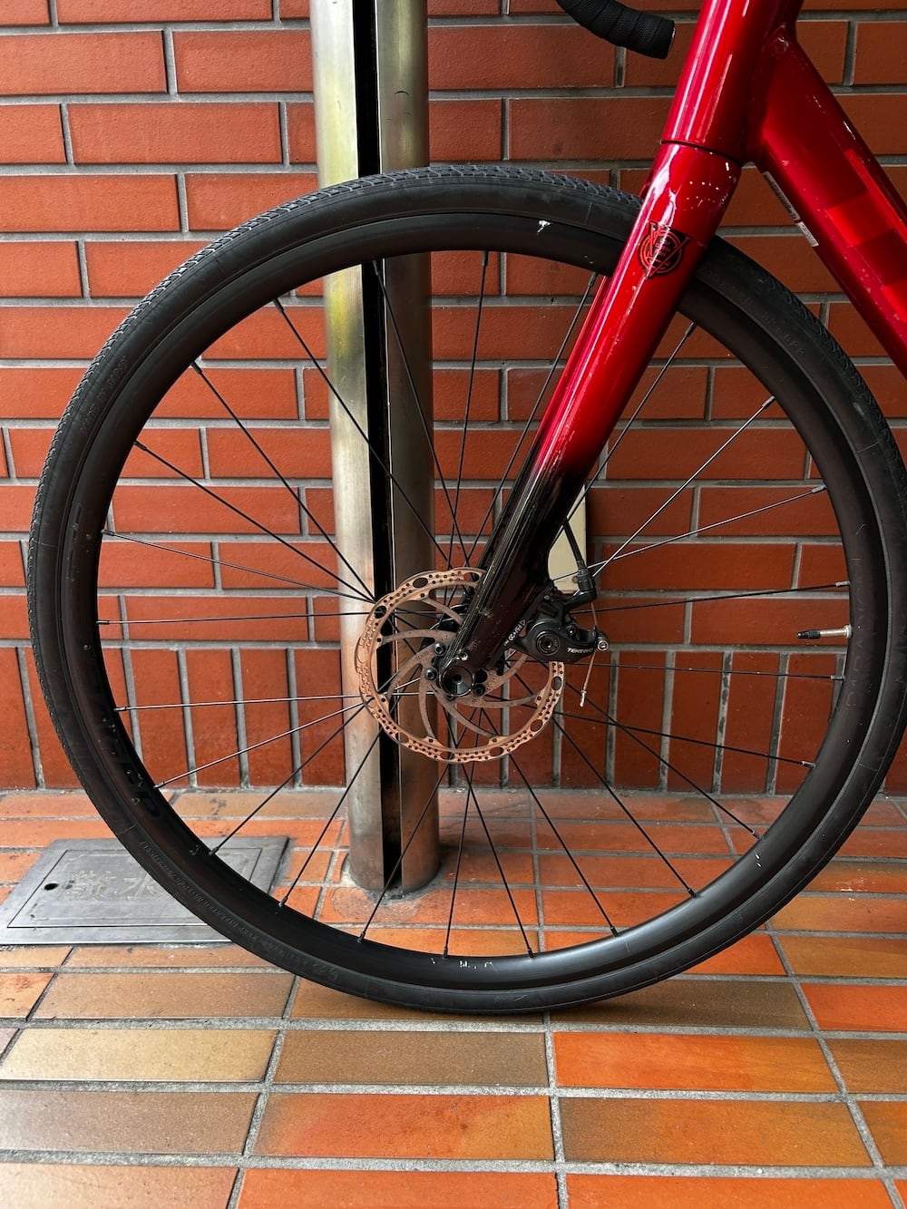 TREK DOMANE AL2 gen4手渡し限定値下げ可 公式通販