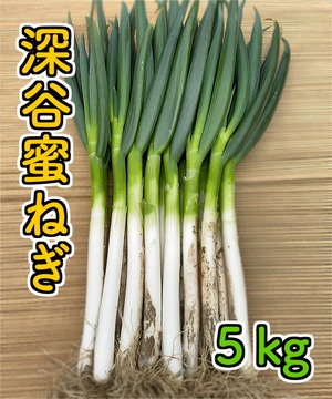 深谷蜜ねぎ5キロ