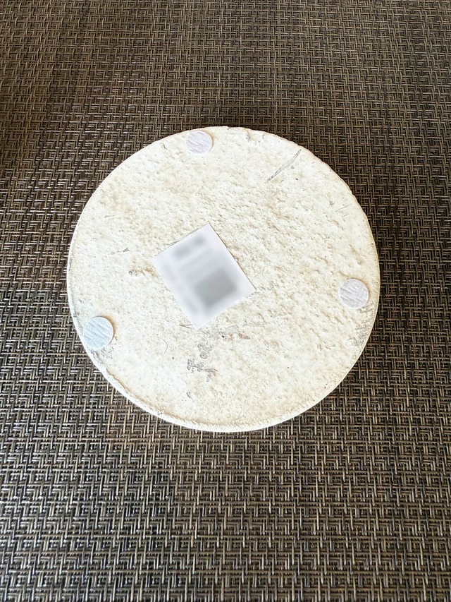 シンゴニウム・ストロベリー