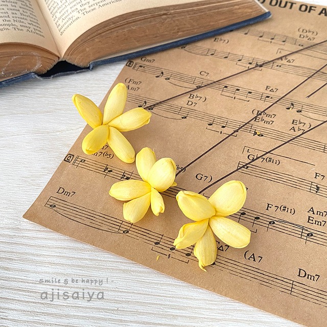 ソーラージャスミン 　イエロー