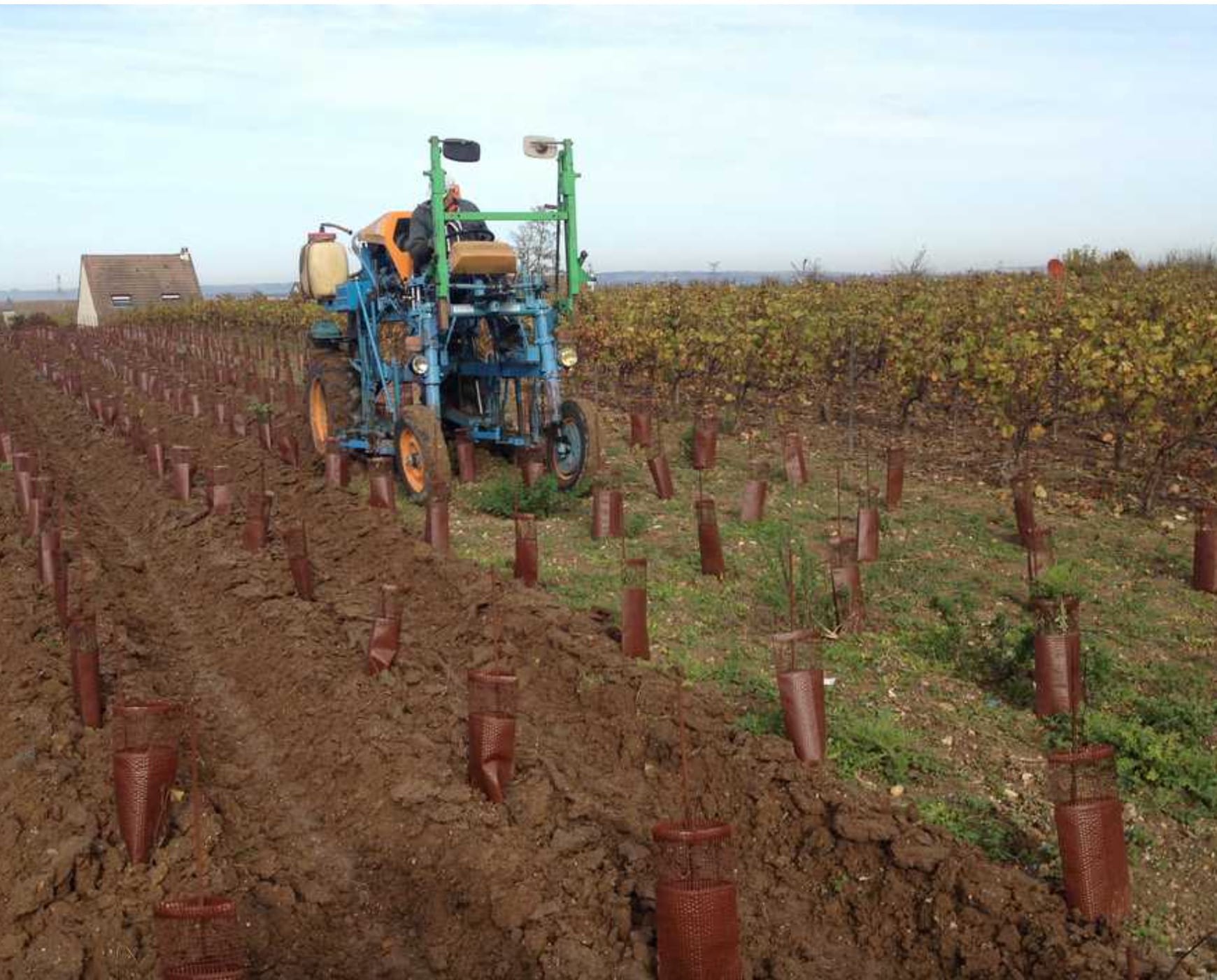 ★新着ワイン★【ラクルト・ゴドビヨン】パーセレール モン・ターム・ミジュラ 2016