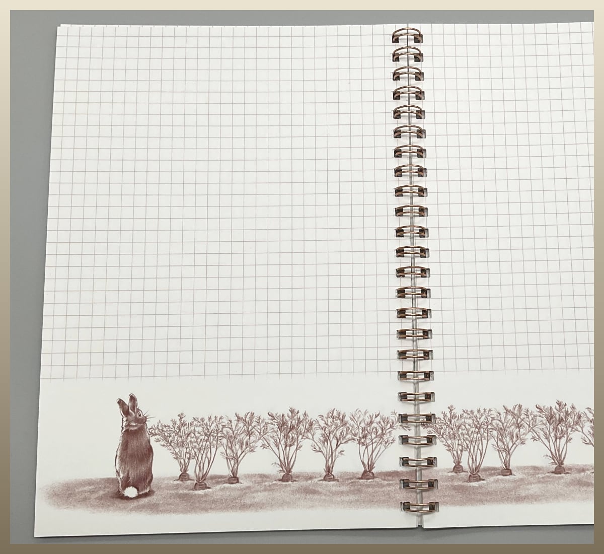 しらとあきこ リングノ－ト 「うさぎになった日」 | うさぎセレクト