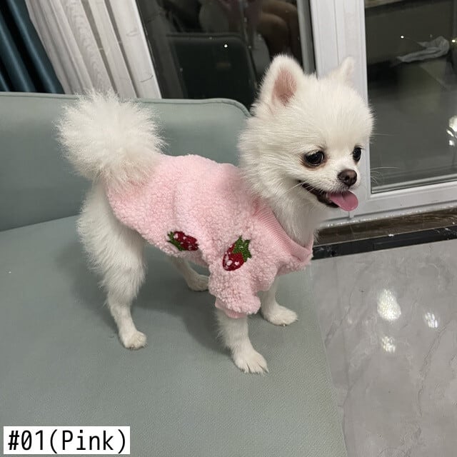 送料無料 ペット関連 子犬 いちご トレーナー 秋冬 ペット 裏毛 テディ