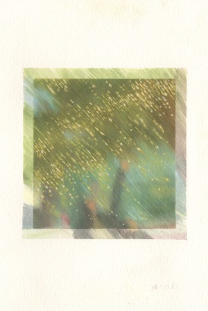 竹浪音羽｜星が降る