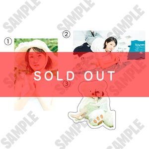 【加藤結 生誕記念】とってもナイスなステッカーセット【ZR0432】