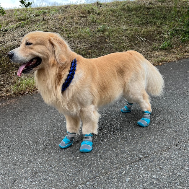 犬の靴 ペットシューズ 夏用 通気性の良いペットシューズ　高性能シューズ　犬の靴　アウトドア用品　安全