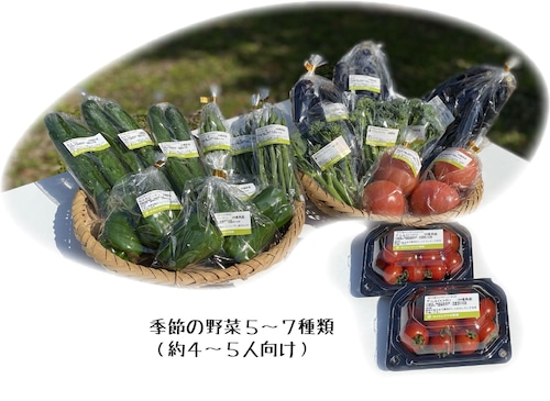 S.沖縄県産季節の野菜セット〈野菜５～7種類(4～5人向け)〉