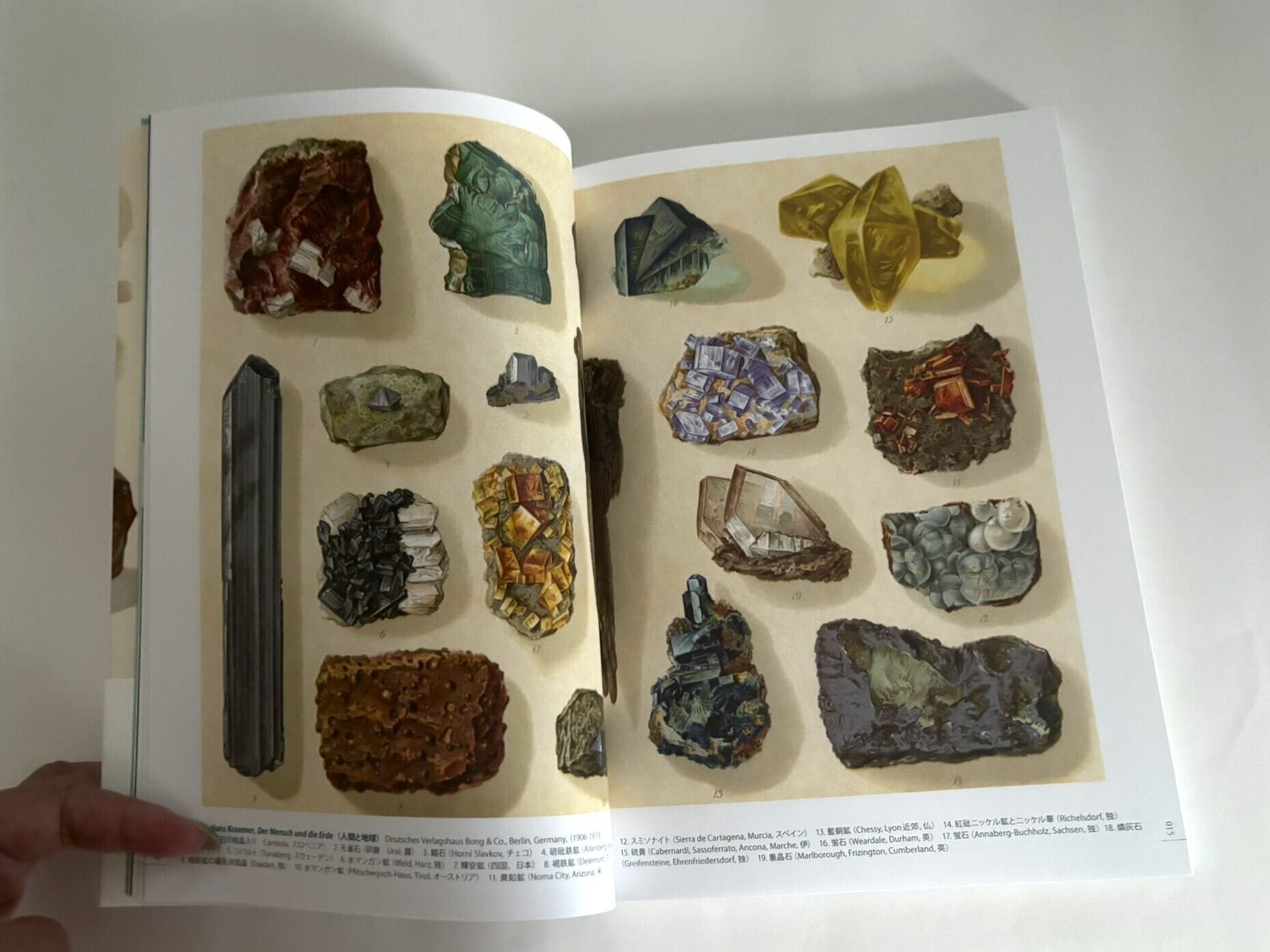 増補愛蔵版 美しいアンティーク鉱物画の本 | かざりすの森