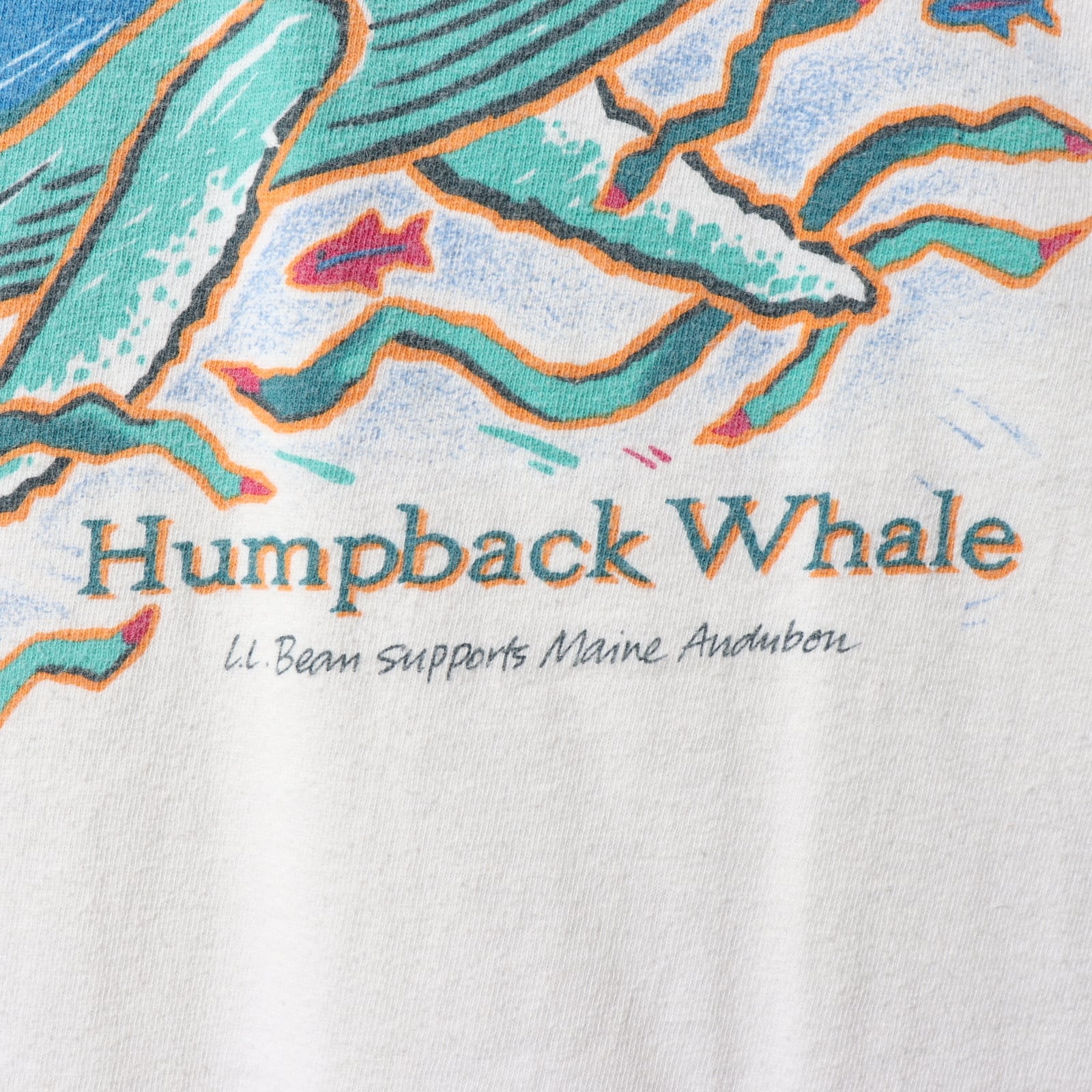 美品 XL USA L.L.Bean シングルステッチ エルエルビーン Tシャツ 鯨