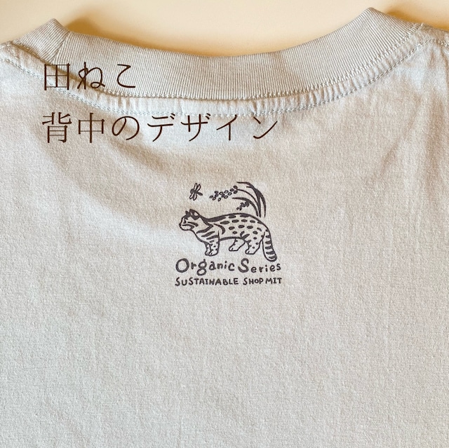 （XXL）オーガニックコットンTシャツ【こねこ】