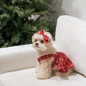 即納【cheese n mood】チェックベルワンピース（レッド）