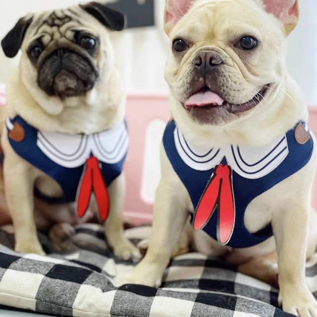 Dog Wear -sailor harness-　　dogw-66