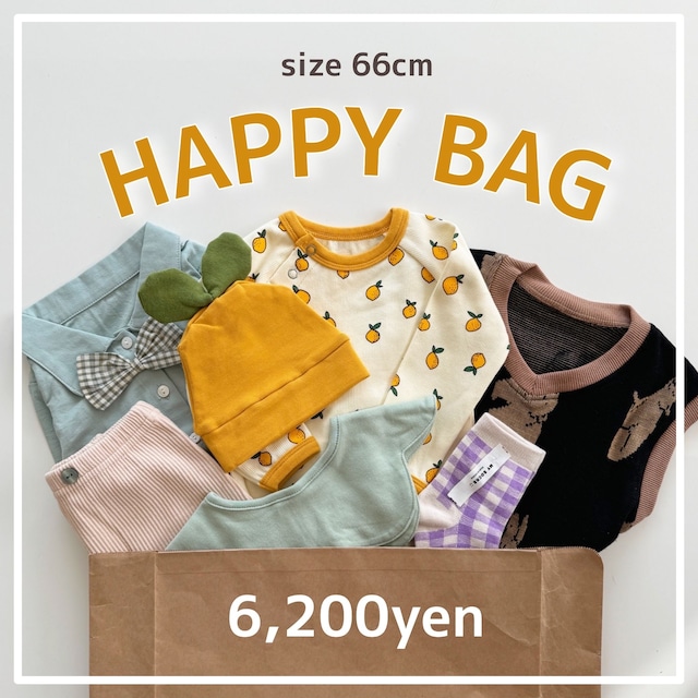 【即納】HAPPY BAG 66cm G004