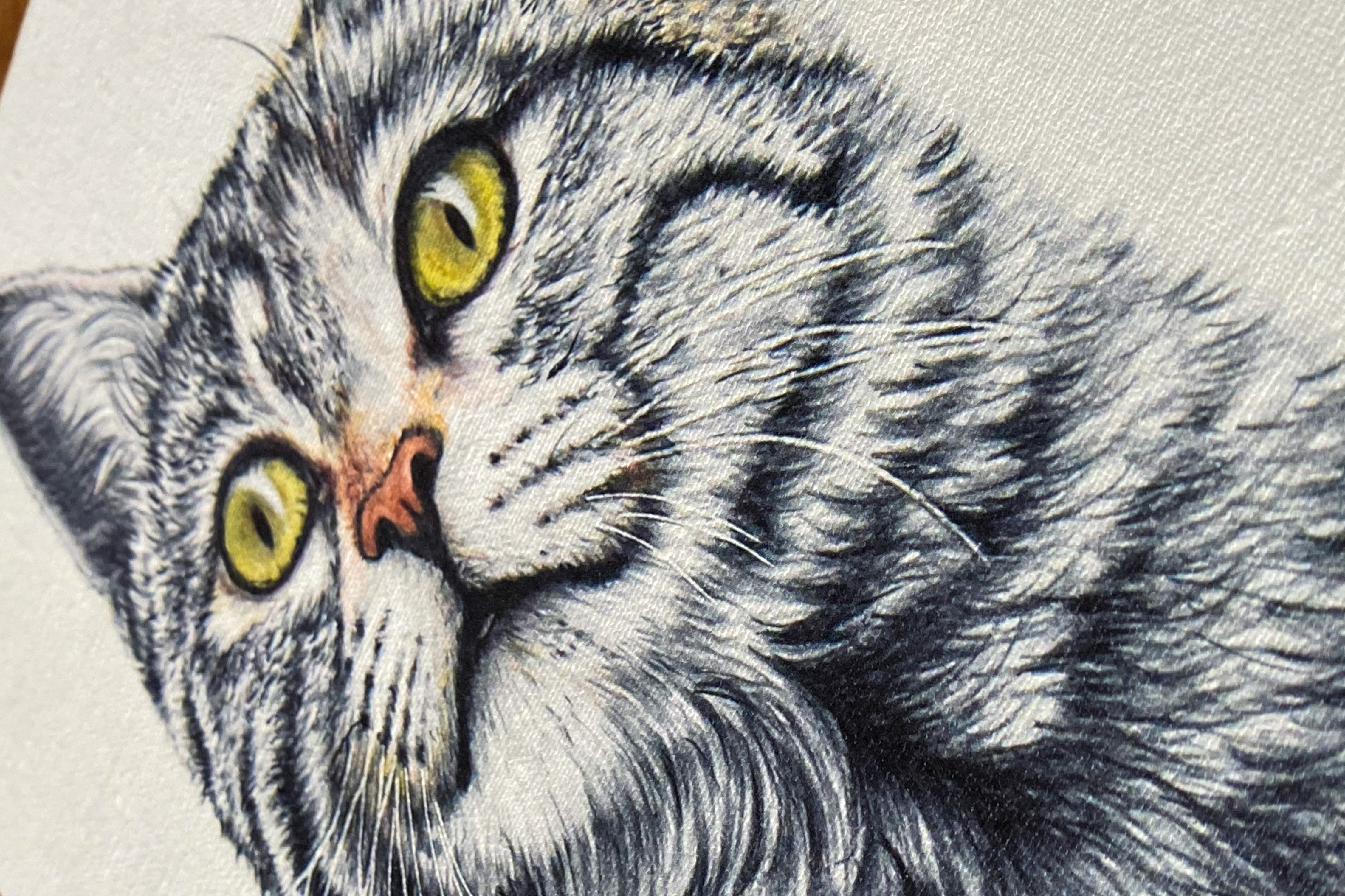 色鉛筆画猫_縦［F3号キャンバスプリント複製］