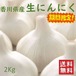 農家直送 香川県産 生にんにく 2Kg  令和8年産