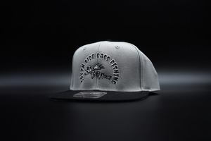 BASSBONE FLATCAP BLACK/GRAY