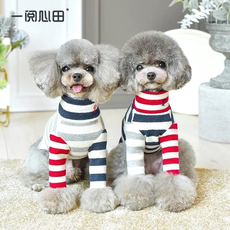 即納】【日本初上陸】犬服 PEEKAPOODLE コットンタートル ボーダー