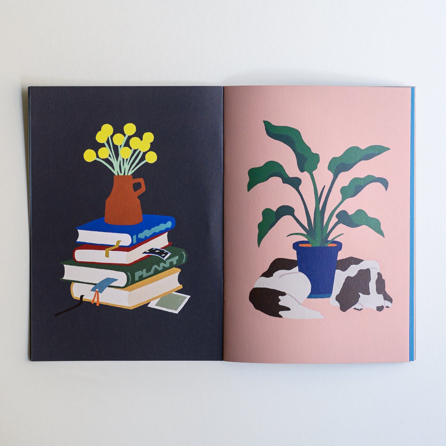 hachizoko 石明子作品集 [ &PLANTS ] | TOKYO PiXEL. shop & gallery