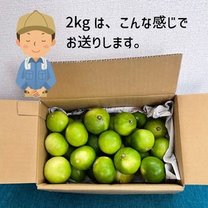 【満天☆青空レストラン】【完全無農薬栽培】辺塚だいだい1.8kg 予約販売始めました！