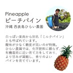 【6月30日お届け分まで】フルーツポンチギフトBOX（西表島産ピーチパインミックス×マンゴーミックス）【ギフト人気No.1】