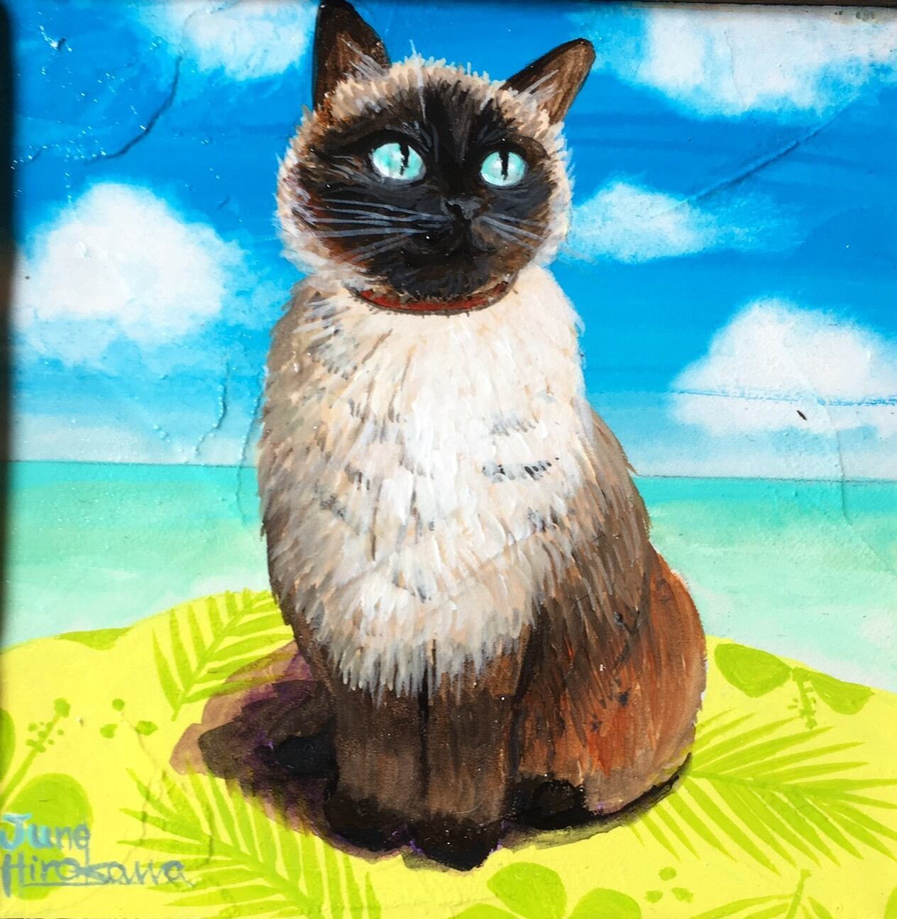 J14 絵画 南国の海の色をした目の猫 By 廣川じゅん 刻 書 描アート