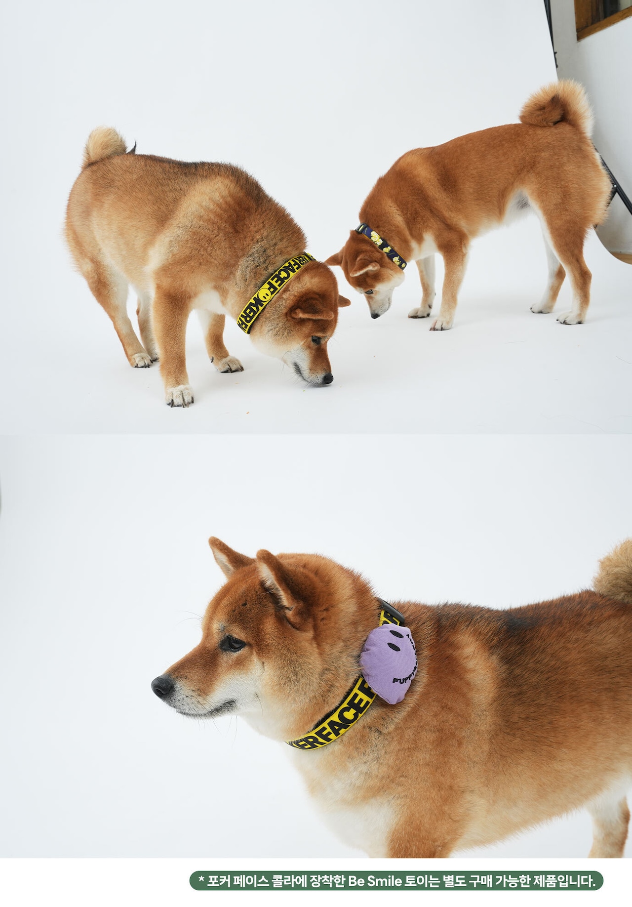 【PUPPYGALLERY公式】ポーカーフェイス・レトロフラワー首輪　L