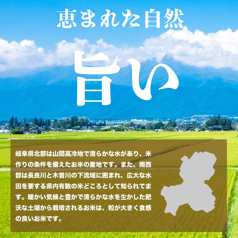 【お得割】ソロキャンプ米　無洗米　岐阜県産初霜　300g×30個　アウトドア　プチギフト