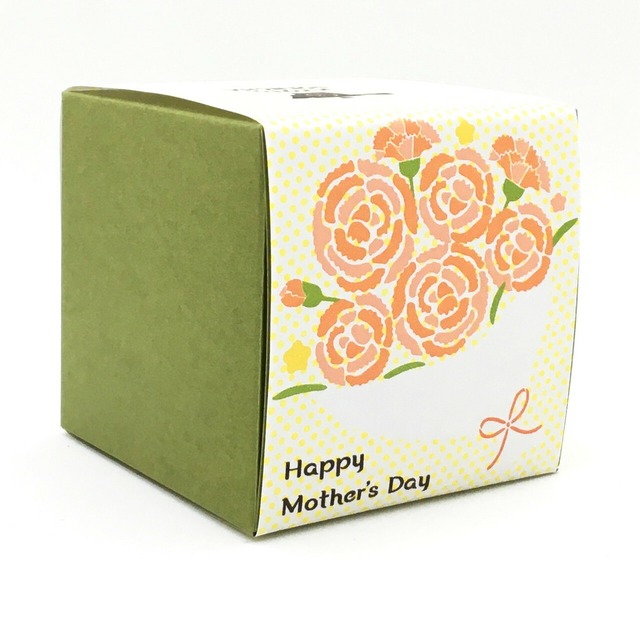 Happy Mother's Day｜母の日｜箱茶｜和紅茶ティーバッグ5包入り